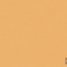 Giấy dán tường hàn quốc Place III 2018 2652-5