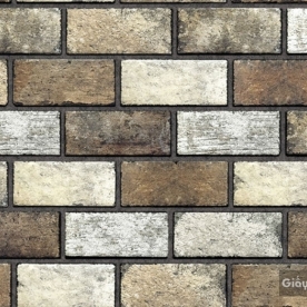 Giấy Dán Tường 5021-2