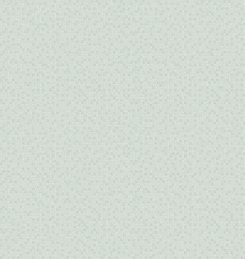 Giấy Dán Tường 5005-3