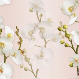 Giấy Dán Tường 88102-1