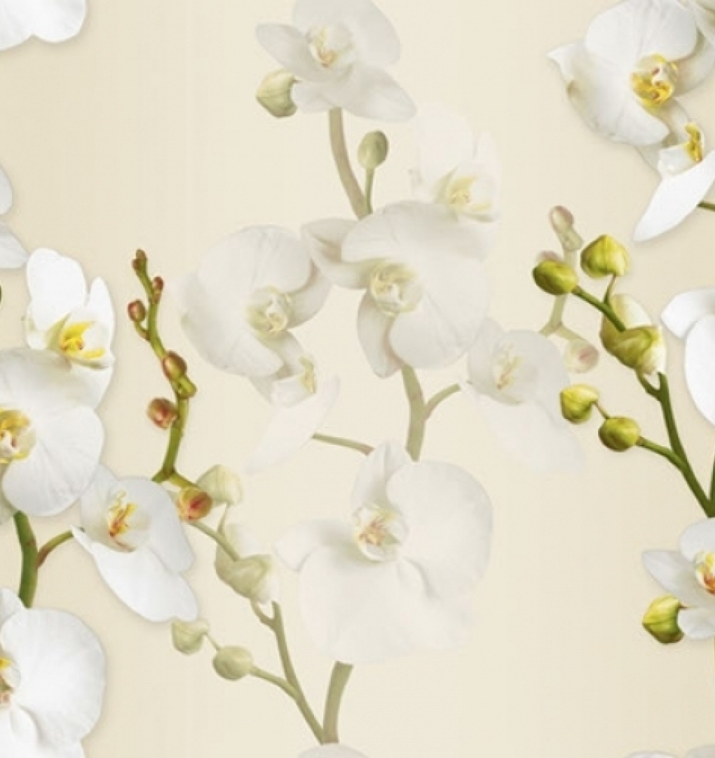 Giấy Dán Tường 88102-2