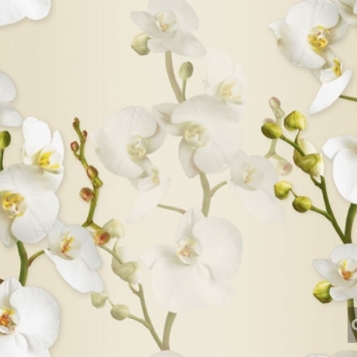 Giấy Dán Tường 88102-2