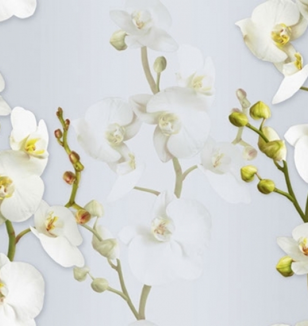 Giấy Dán Tường 88102-3