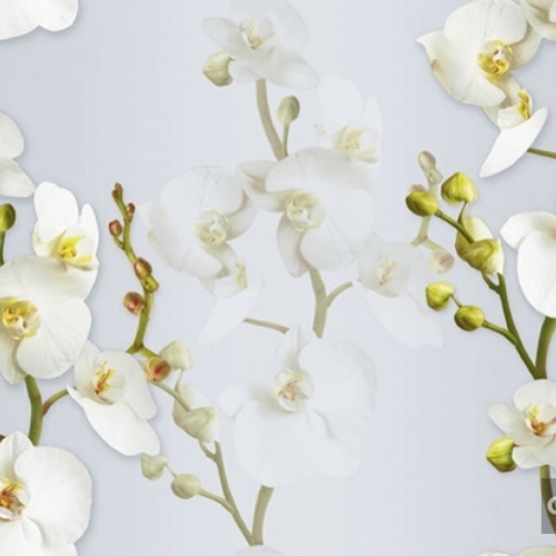 Giấy Dán Tường 88102-3