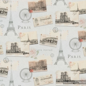 Giấy dán tường hàn quốc Symphony GK027-1