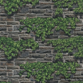 Giấy dán tường hàn quốc Terra 2018 83109-1