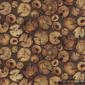 Giấy dán tường hàn quốc Terra 2018 83114-2