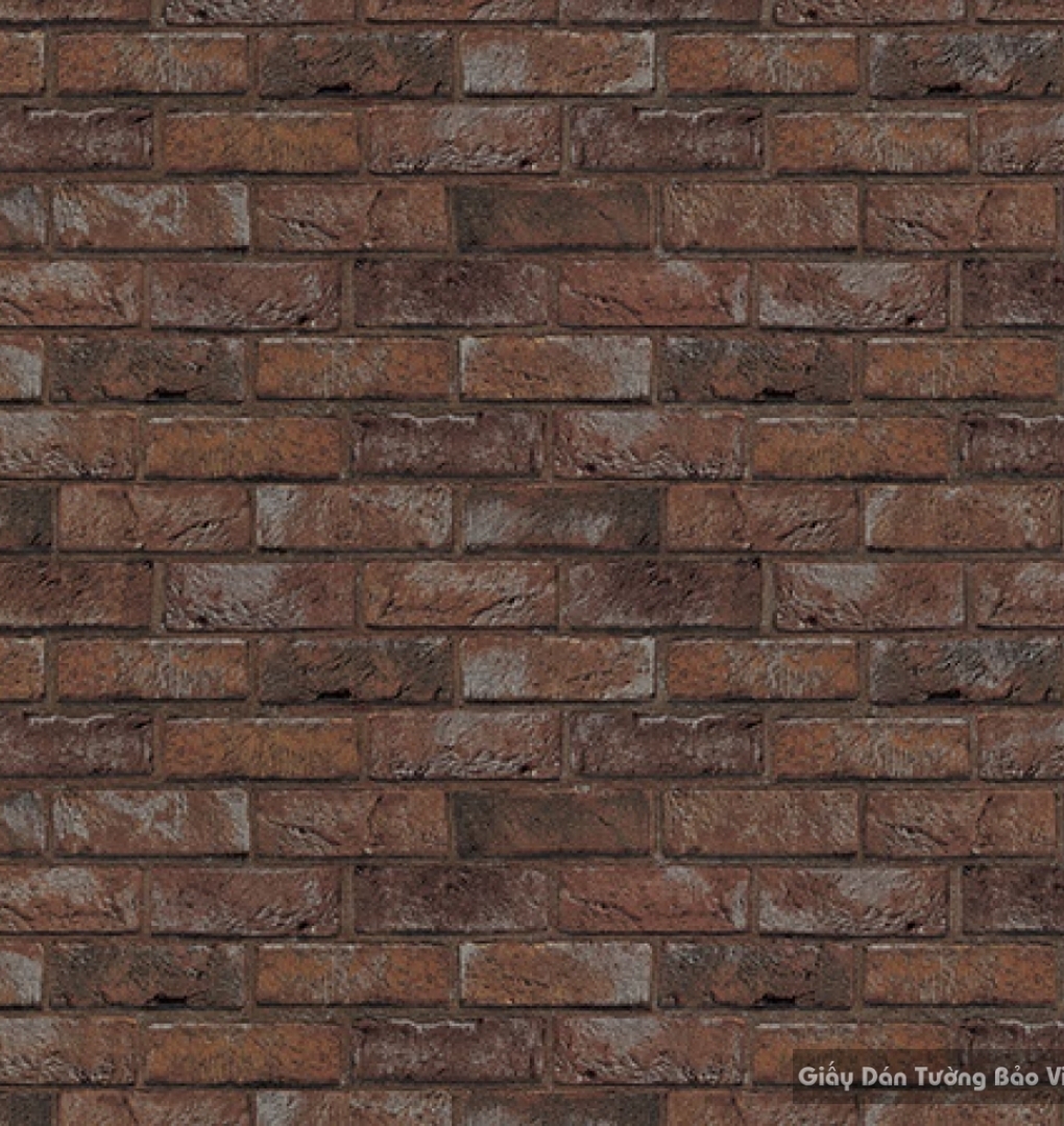 Giấy dán tường hàn quốc Terra 83100-3