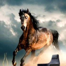 Giấy dán tường phòng khách H017