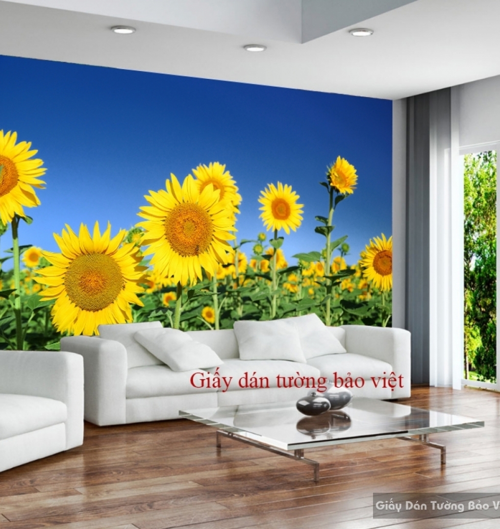 Giấy dán tường phòng khách H102