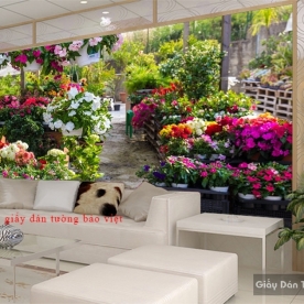 Giấy dán tường phòng khách H153