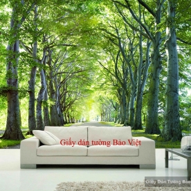 Giấy dán tường phòng khách Tr154