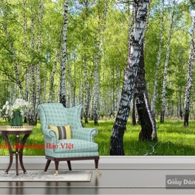 Giấy dán tường phòng khách Tr182