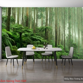 Giấy dán tường phòng khách Tr254