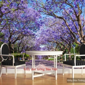 Giấy dán tường phòng khách đẹp Tr155