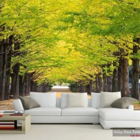 Giấy dán tường phòng khách v196
