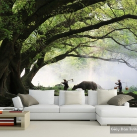 giấy dán tường phòng khách 14046599