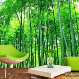 giấy dán tường phòng khách 13868124