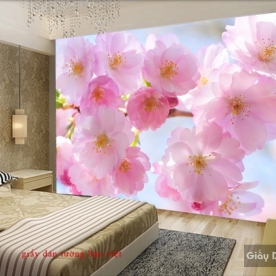 Giấy dán tường cho phòng ngủ H149