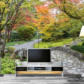 giấy dán tường s157925363