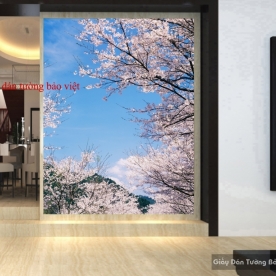 Decal dán kính K047