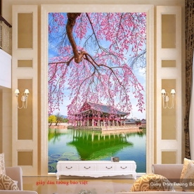 Decal dán tường & dán kính K111