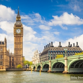 Decal dán tường & kính 3D Fm061