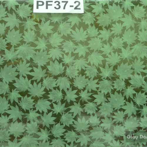 Kính ô PF37-2