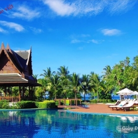 Tranh dán tường Fm100