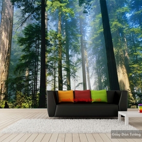 Tranh dán tường đẹp Tr212