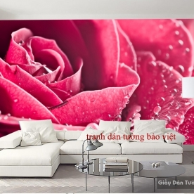 Tranh dán tường hoa hồng H096