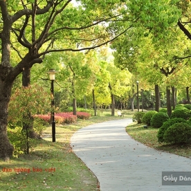 Tranh dán tường phong cảnh Tr149