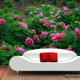 Tranh giấy dán tường hoa 3D H035