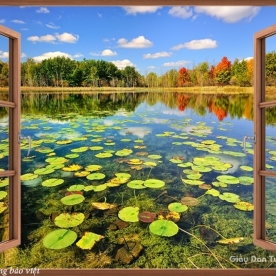 Tranh dán tường cửa sổ M070