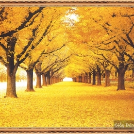 Tranh dán tường Pa053