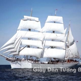 Tranh Giấy Dán Tường 3D Phong Cảnh Bãi Biển B004-1