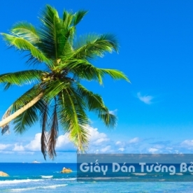 Tranh Giấy Dán Tường 3D Phong Cảnh Bãi Biển BE 1501-2