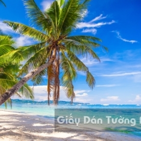 Tranh Giấy Dán Tường 3D Phong Cảnh Bãi Biển BE 1501-3