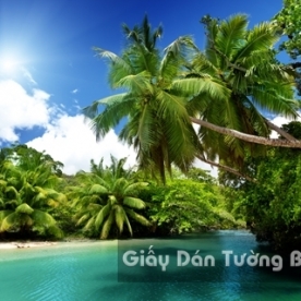 Tranh Giấy Dán Tường 3D Phong Cảnh Bãi Biển BE 1501-6