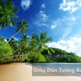 Tranh Giấy Dán Tường 3D Phong Cảnh Bãi Biển BE 1501-8