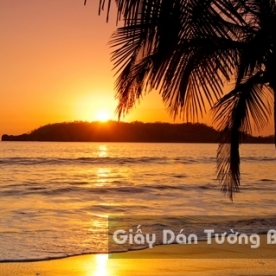 Tranh Giấy Dán Tường 3D Phong Cảnh Bãi Biển BE 1502-2