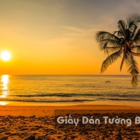 Tranh Giấy Dán Tường 3D Phong Cảnh Bãi Biển BE 1502-6