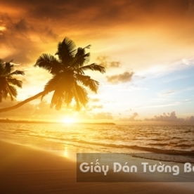 Tranh Giấy Dán Tường 3D Phong Cảnh Bãi Biển BE 1502-7