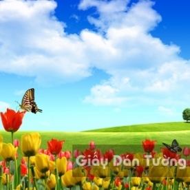 Tranh Giấy Dán Tường 3D Phong Cảnh Thiên Nhiên Cánh Đồng Hoa FL003-1