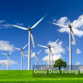 Tranh Giấy Dán Tường 3D Phong Cảnh Thiên Nhiên Cánh Đồng Hoa FLLS 1501-27