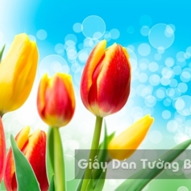 Tranh Giấy Dán Tường 3D Phong Cảnh Thiên Nhiên Cánh Đồng Hoa FLLS 1502-25