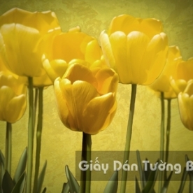 Tranh Giấy Dán Tường 3D Phong Cảnh Thiên Nhiên Cánh Đồng Hoa FLLS 1502-28