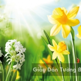 Tranh Giấy Dán Tường 3D Phong Cảnh Thiên Nhiên Cánh Đồng Hoa FLLS 1502-29