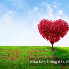 Tranh Giấy Dán Tường 3D Phong Cảnh Thiên Nhiên Cánh Đồng Hoa FLLS 1502-34