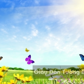 Tranh Giấy Dán Tường 3D Phong Cảnh Thiên Nhiên Cánh Đồng Hoa FLLS 1502-6